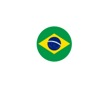 Brazil flag 1