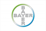 bayer logo 2003 zoomed